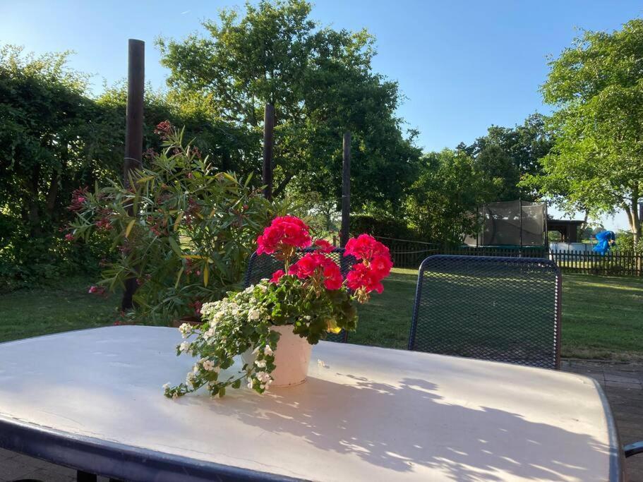 Helle Wohnung Mit Wintergarten - Nahe Ruhrgebiet Und Freizeitpark Movie Park Bottrop Eksteriør billede